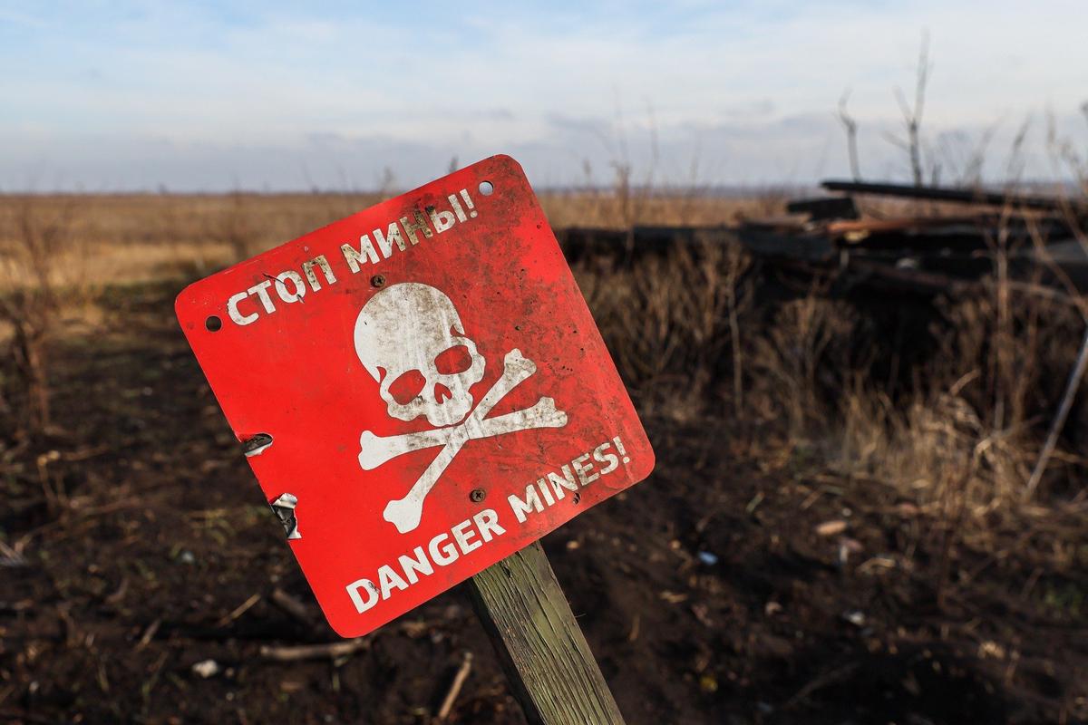 Фото: Дмитрий Ягодкин / ТАСС