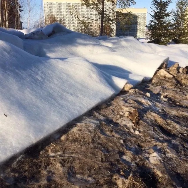 Грязный снег в Красноярске перед открытием Универсиады укрыли чистым... синтепоном. Фото из соцсетей