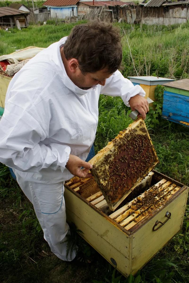 Стол для пчеловода своими руками