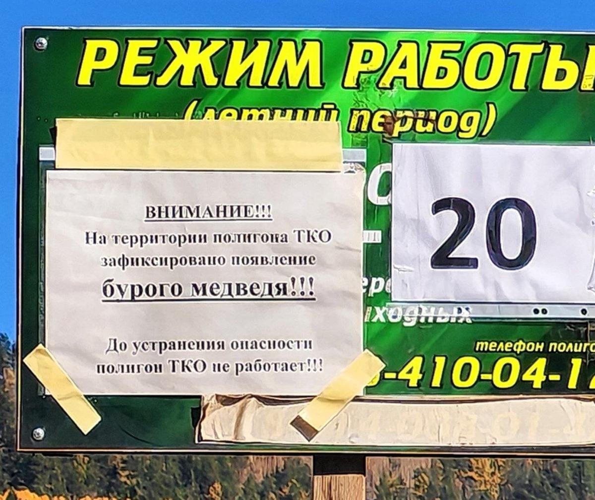 Фото: соцсети