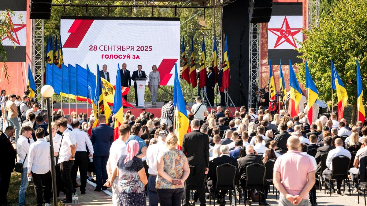 Поле для Беса