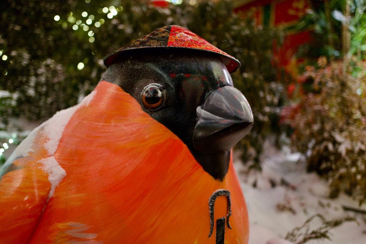 Фото: Даниил Черяпкин / «Новая газета»