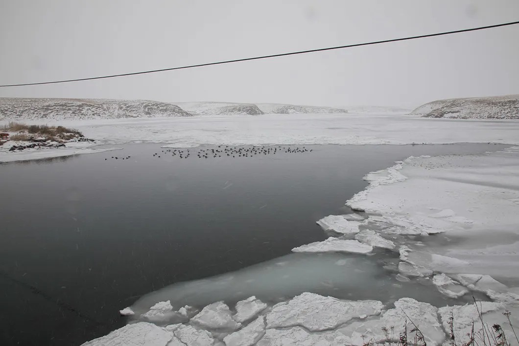 На Хоккайдо, в отличие от других японских островов, зимой холодно, поэтому он самый малонаселенный. Фото: Анна Артемьева / «Новая»