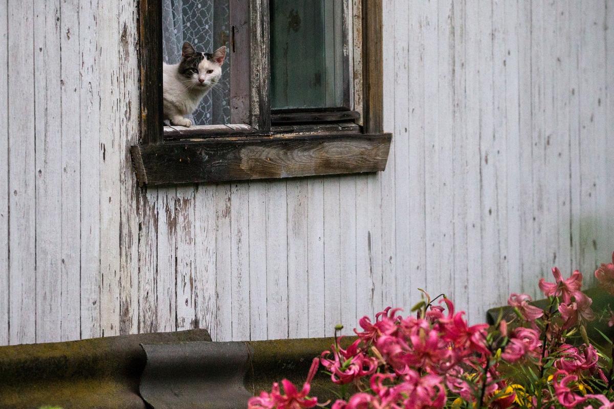 Фото: Сергей Бобылев / ТАСС