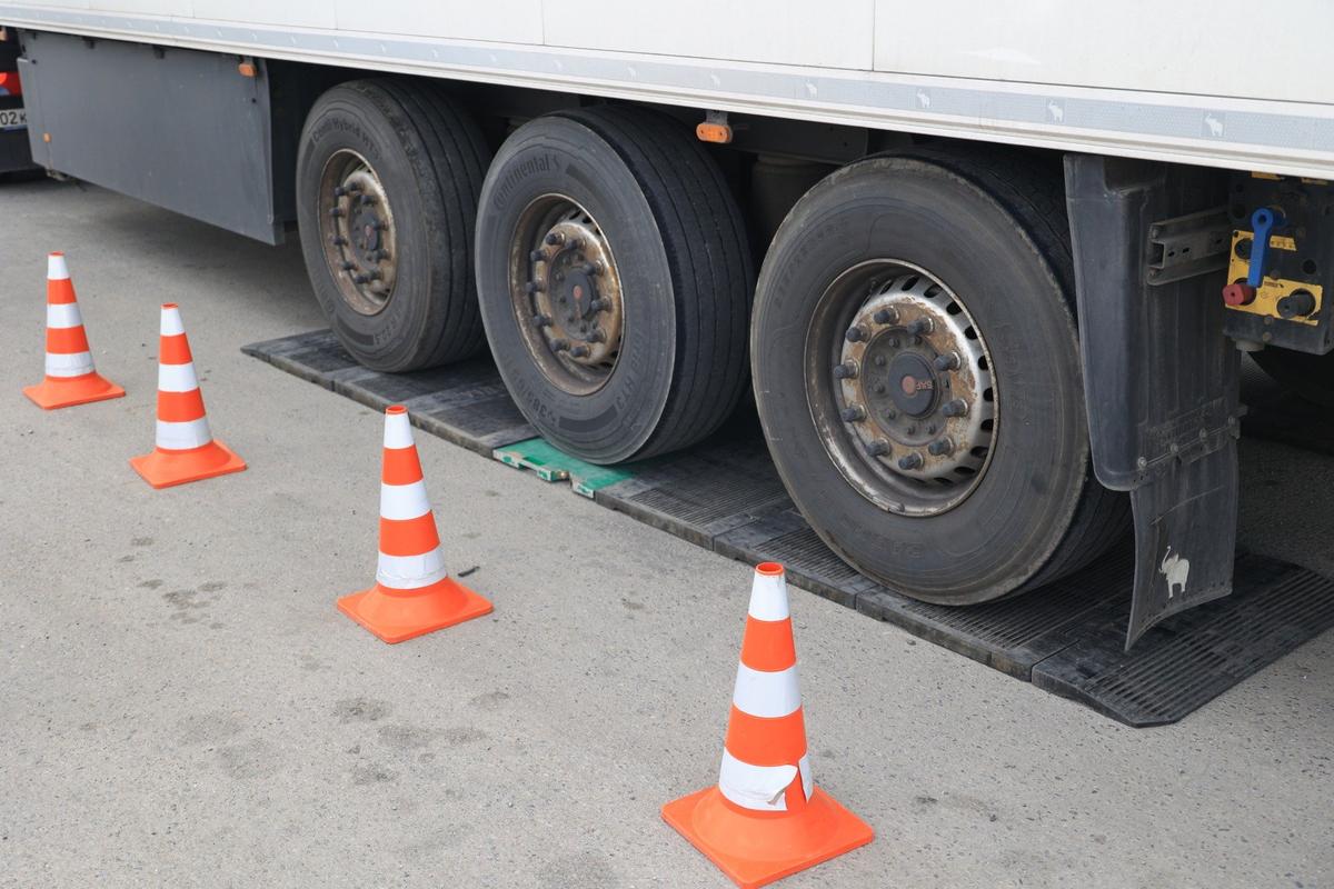 Фото: Дмитрий Рогулин / ТАСС