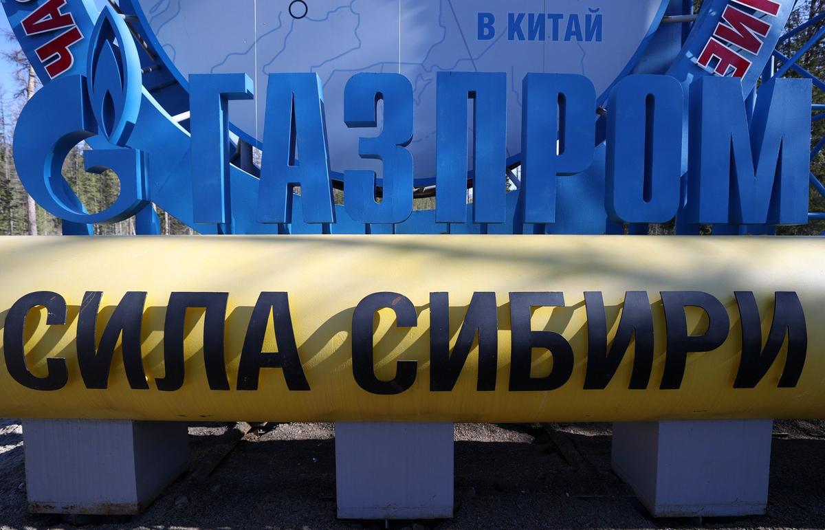 Фото: Кирилл Кухмарь / ТАСС