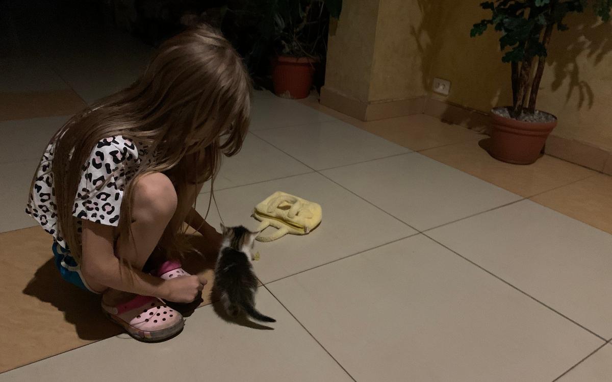 Санаторий имени Черняховского под Курском уже два года как превращен в ПВР №6. Фото: Татьяна Васильчук / «Новая газета»