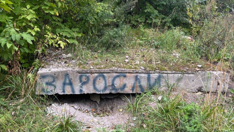 Теперь и до «Зарослей» добрались