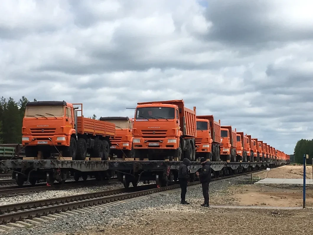 Лучше под дубинки, чем на свалку». Выступая против строительства мусорного  полигона в архангельских болотах, люди построили демократическую республику  — Шиес — Новая газета