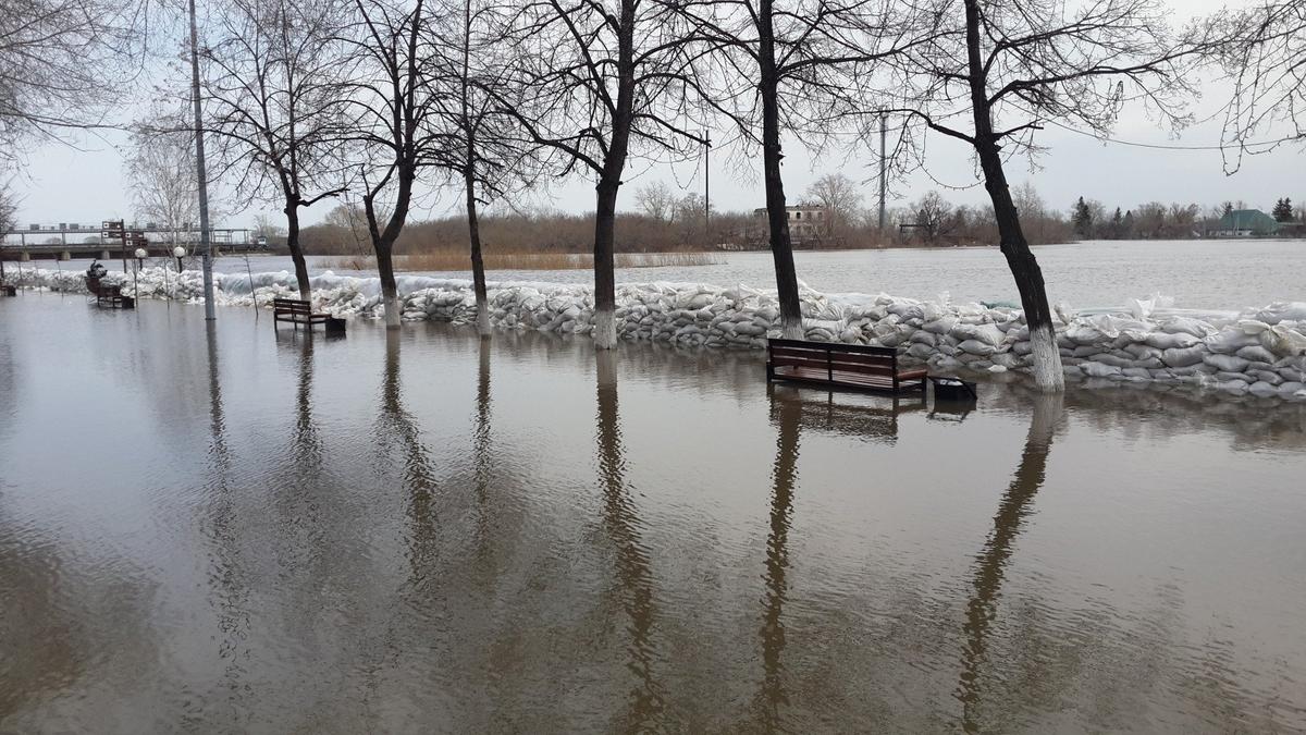 Затоплен второй ярус набережной, центр Кургана. Фото: Алексей Тарасов / «Новая газета»