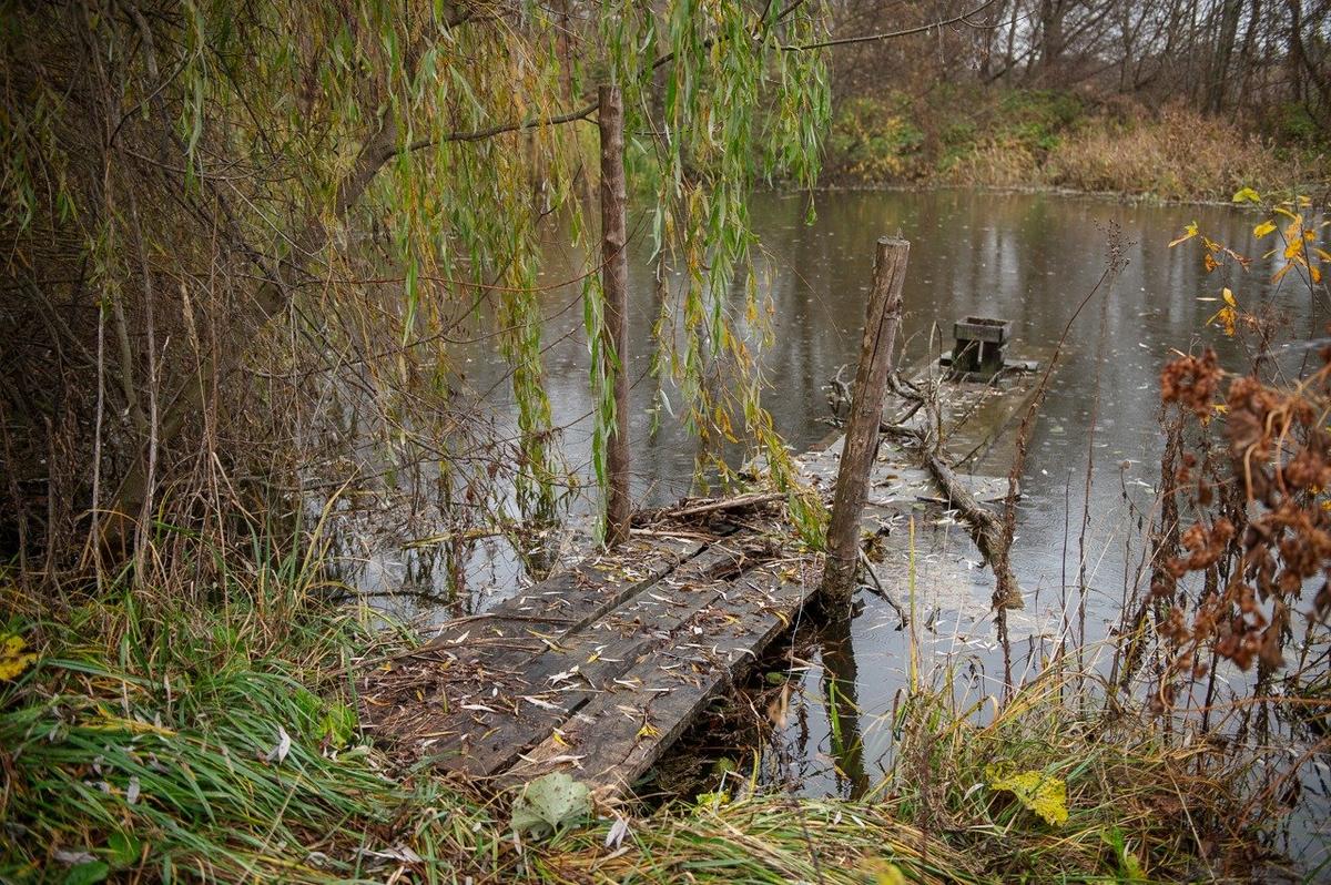 Фото: Василий Кучма