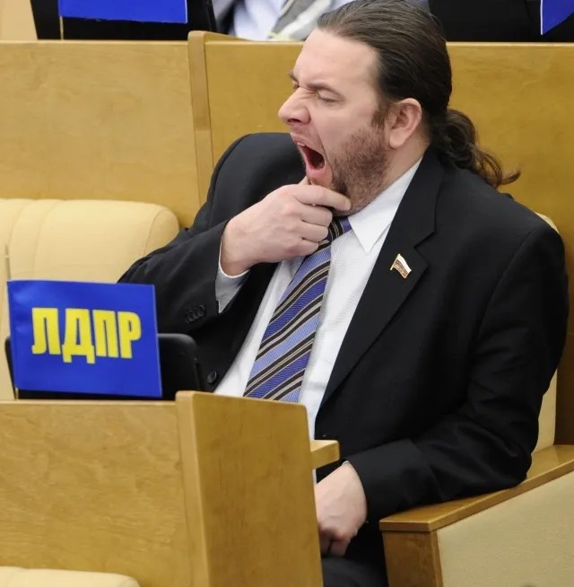 Депутат Госдумы на заседании. Фото: РИА Новости