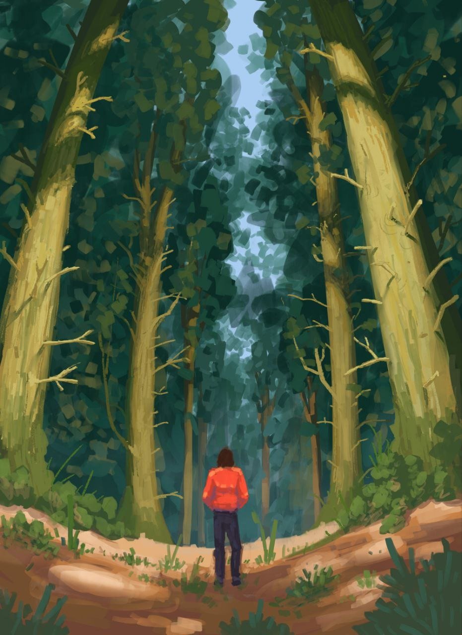 Картина Джима «Потерянный в лесу»