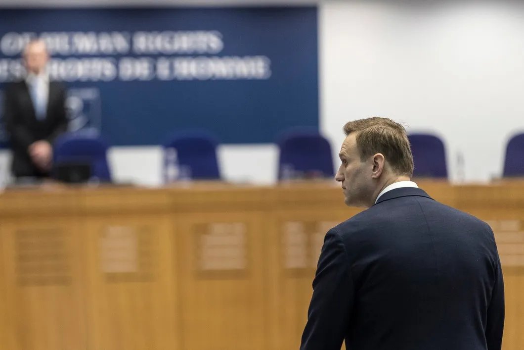 Рассмотрение апелляции по делу о задержаниях Алексея Навального в Европейском суде по правам человека, 2018 год. Фото: AP / TASS