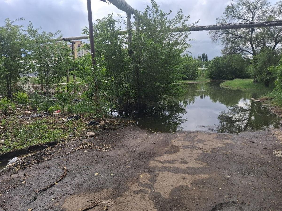 Искусственное озеро во дворе жилого дома в Энгельсе. Фото автора