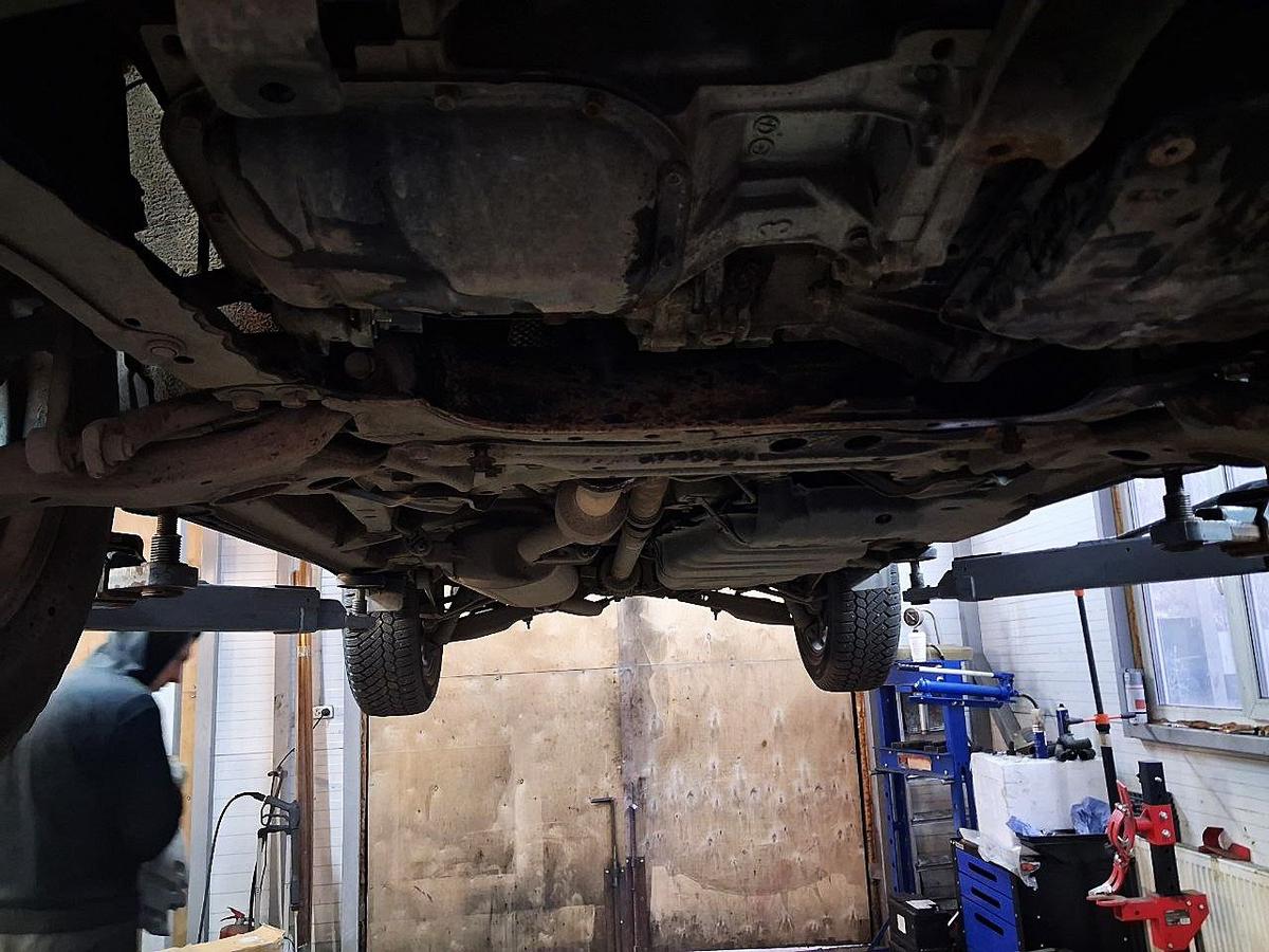 Фото: Игорь Стрельцов