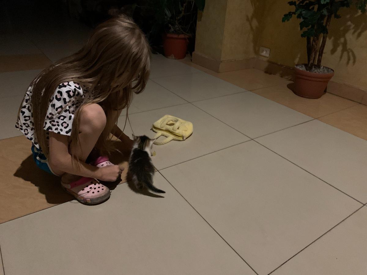 В ПВР (пункте временного размещения) №6, санаторий Черняховского. Фото: Татьяна Васильчук / «Новая газета»