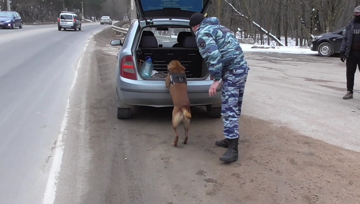 Обыск в машине Влада Есипенко в день задержания. Стоп-кадр с видео, предоставленного ФСБ РФ