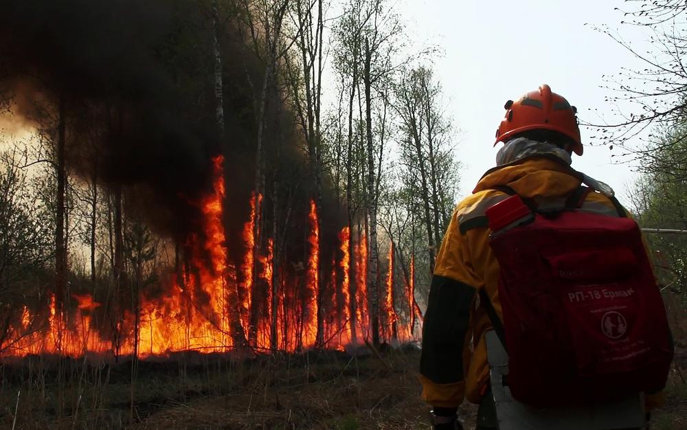Лесные пожары в Якутии. Фото: РИА Новости
