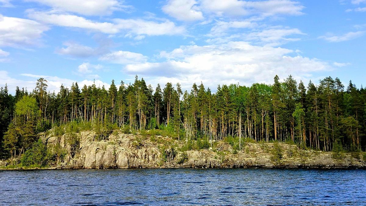 Заложники «царской рыбы»