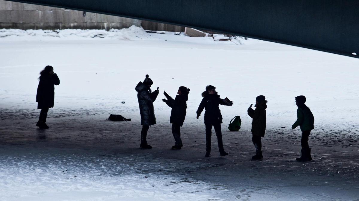 Школьная скамья подсудимых