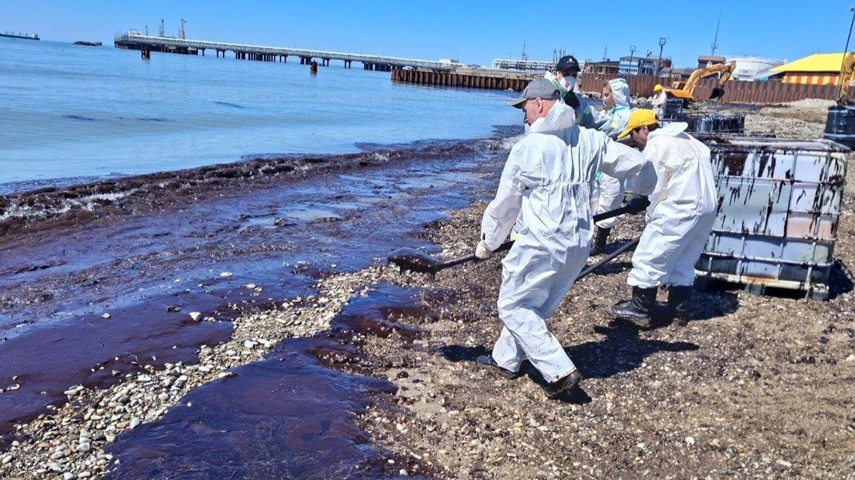 Улыбка мертвого дельфина