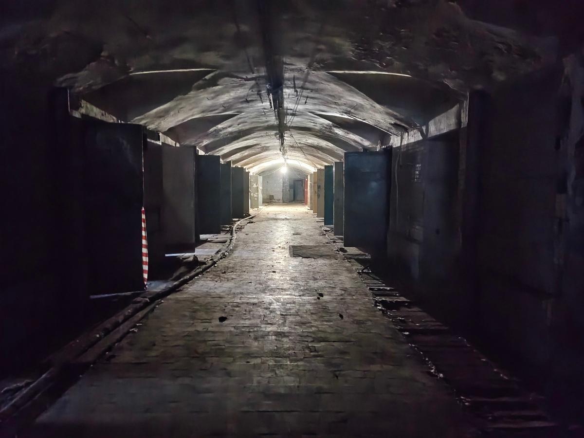 Фото: Наталья Шкуренок
