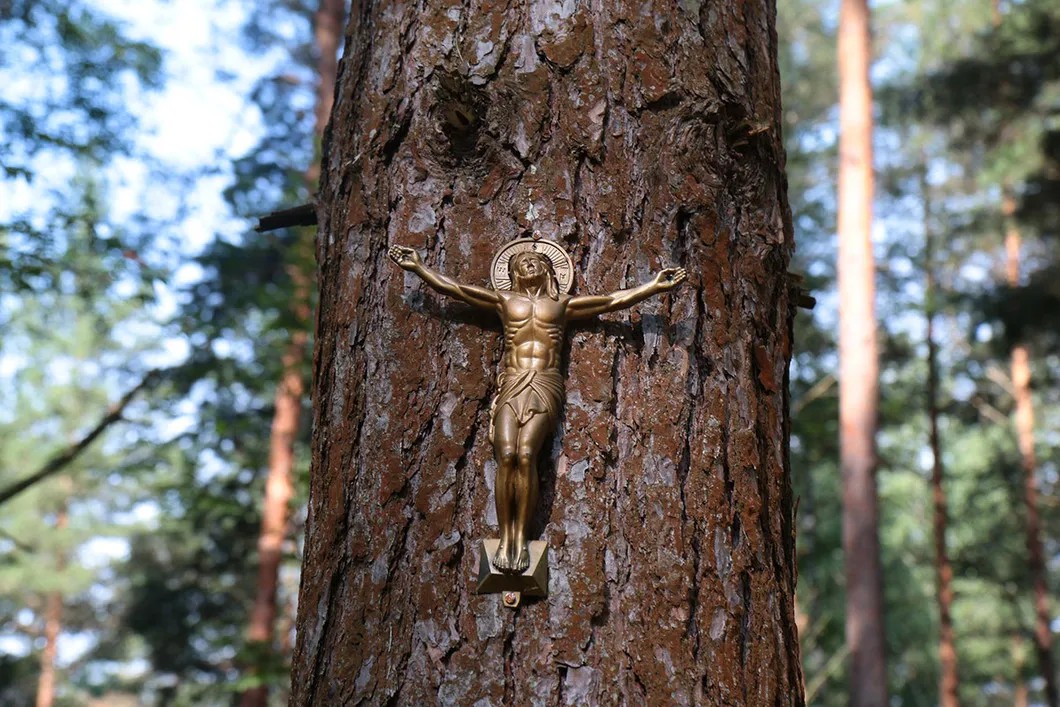 Фигура распятого Христа на одном из деревьев в зоне предполагаемой вырубки. Фото: Светлана Виданова / «Новая газета»