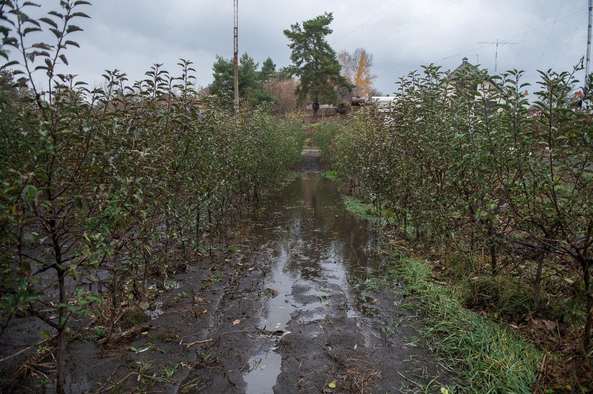 Фото: Василий Кучма