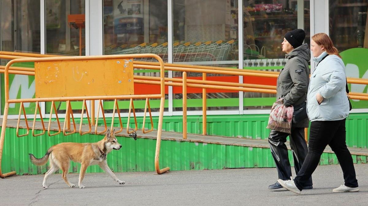 Неподъемная корзина