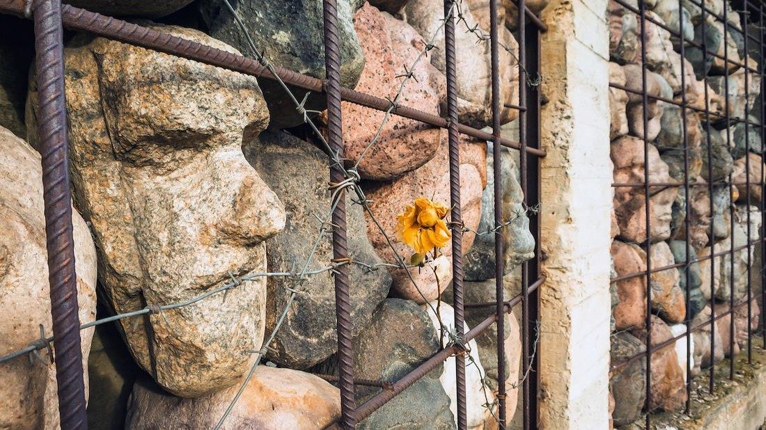 «Люблю гусей подразнить»