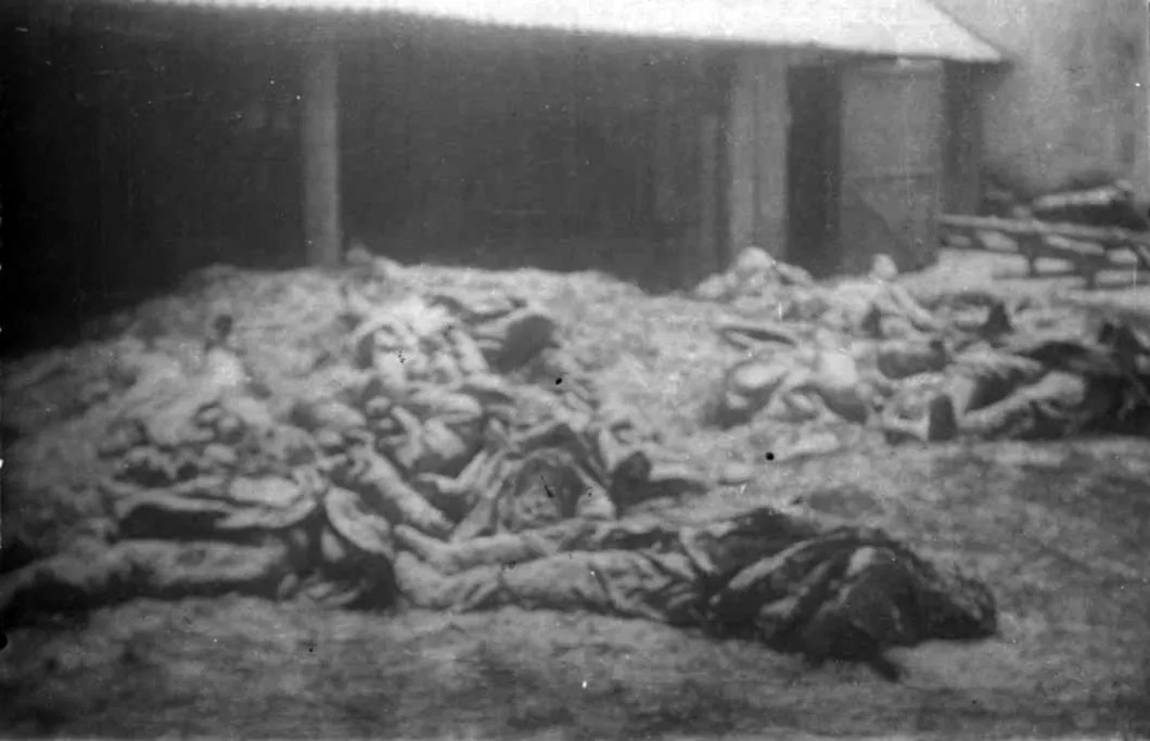 Тела военнопленных и арестованных, убитых немцами перед отступлением из Краснодона. 1943 г. Фото: molodguard.ru