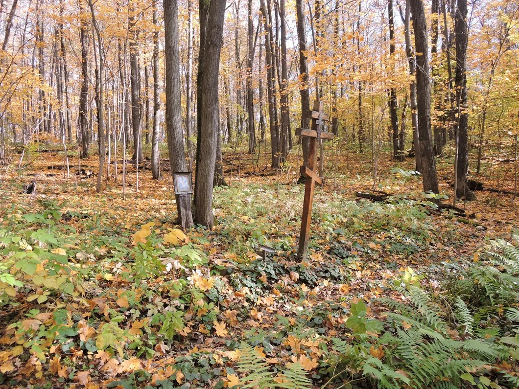 Этот крест — в лесу под Саранском, у Богоявленских источников. Фото автора
