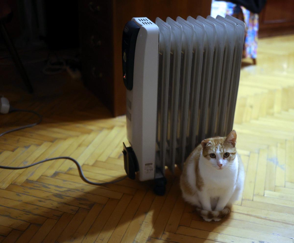 Фото: Анвар Галеев / ТАСС