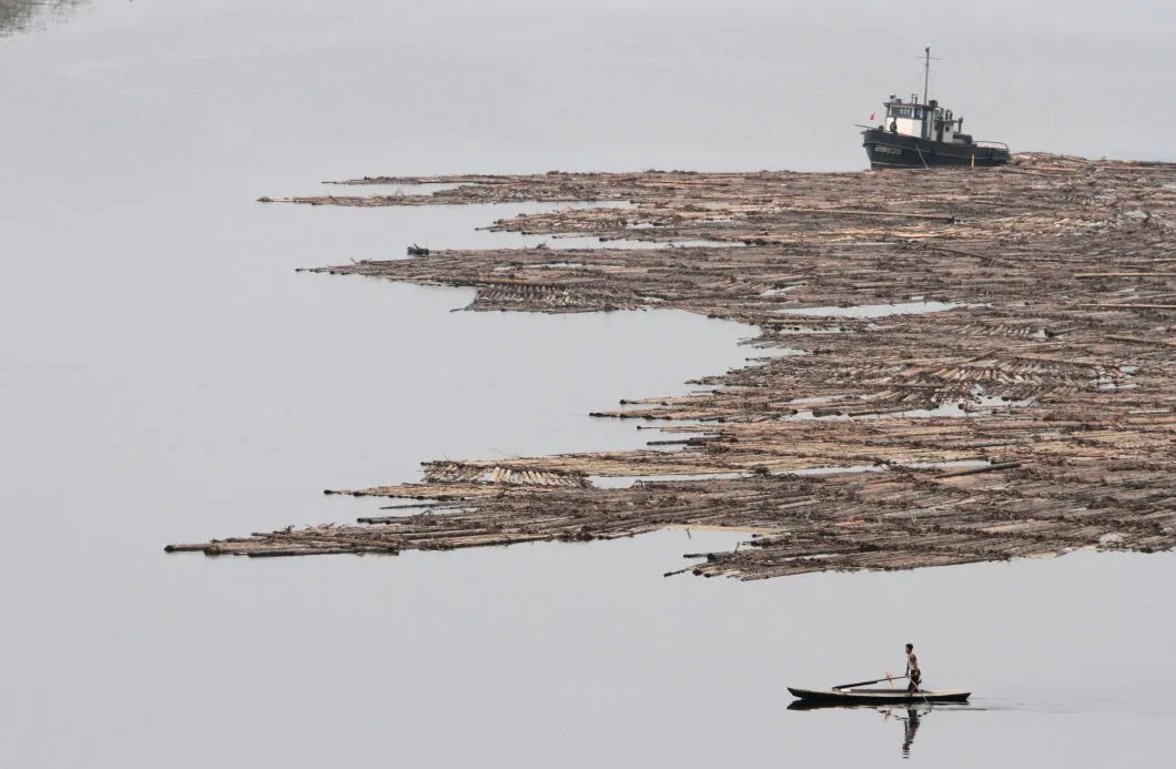 Сплав леса в КНДР. Фото: Reuters