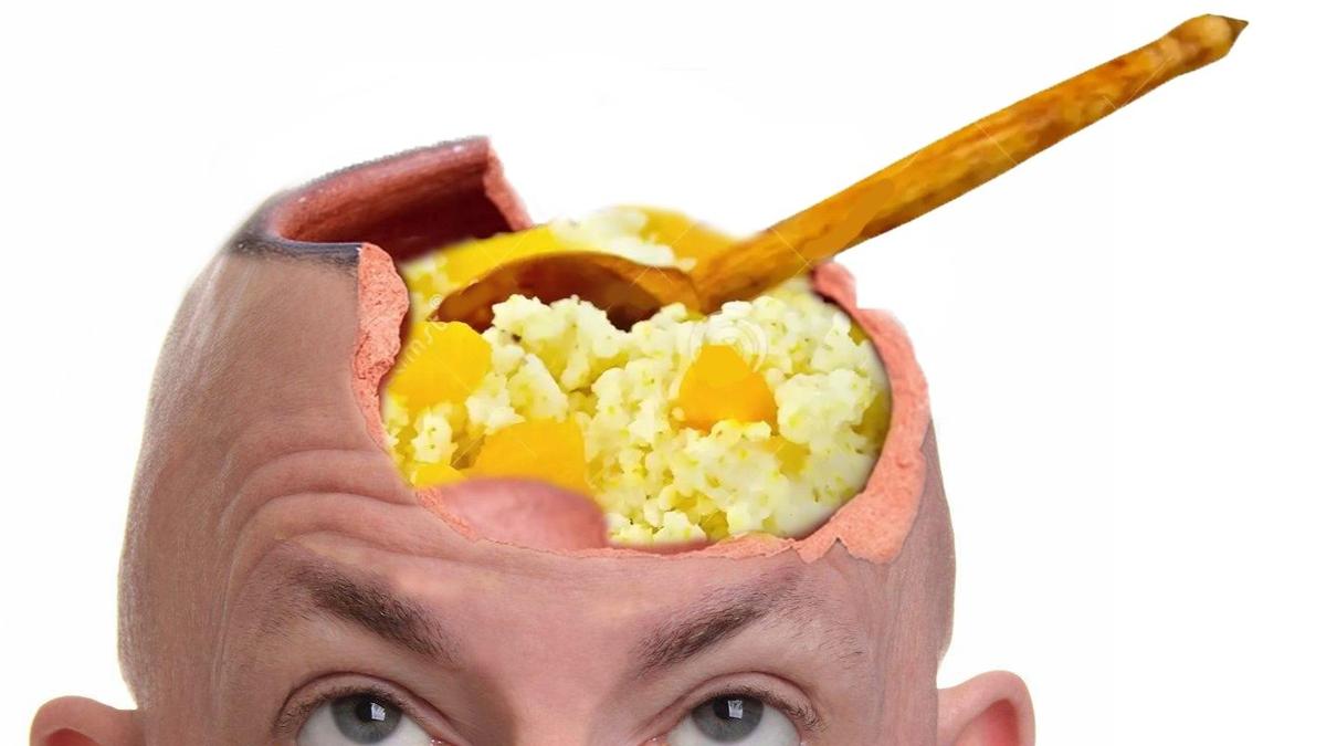 Курлык — и доставлено!