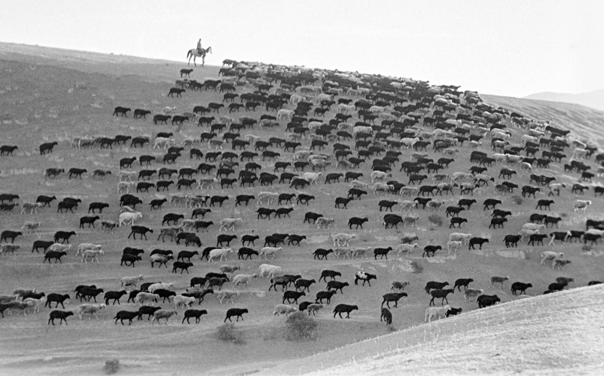 Фото: Георгий Надеждин / ТАСС