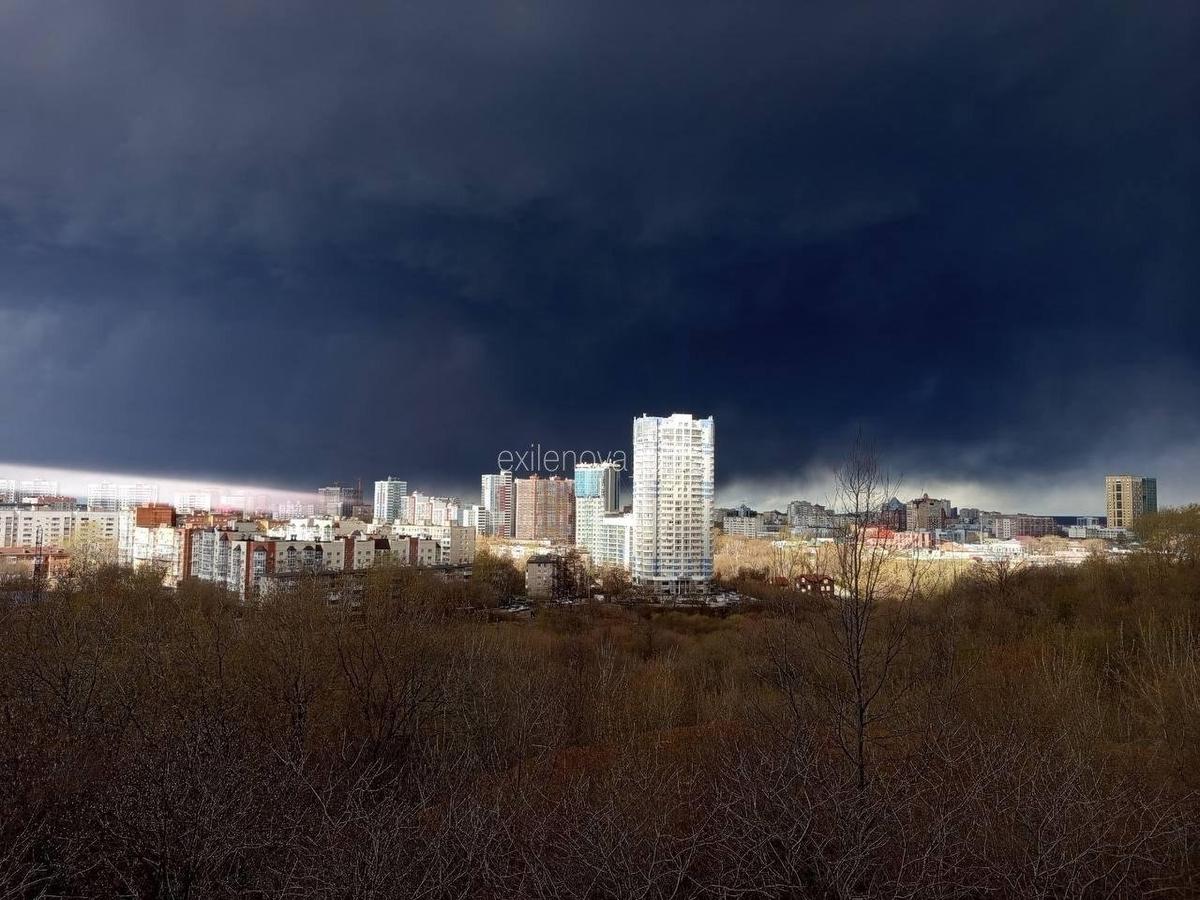 Фото из соцсетей