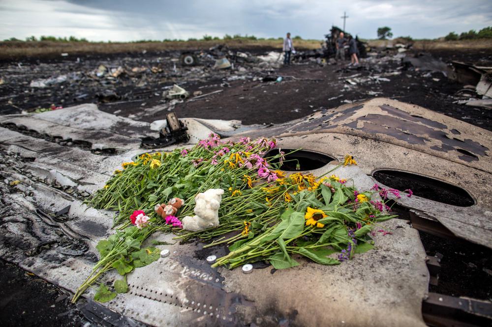 Место падения рейса МН17. Фото: РИА Новости