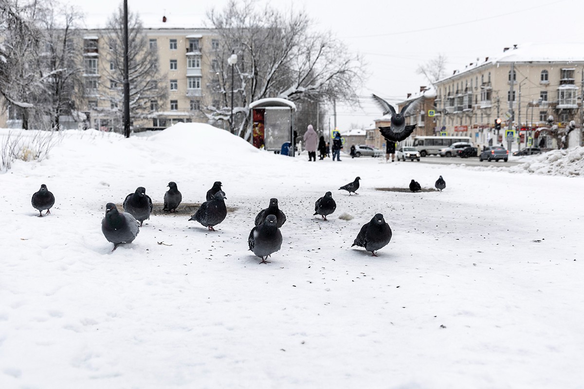 В Соликамске. Фото: Арден Аркман / «Новая»