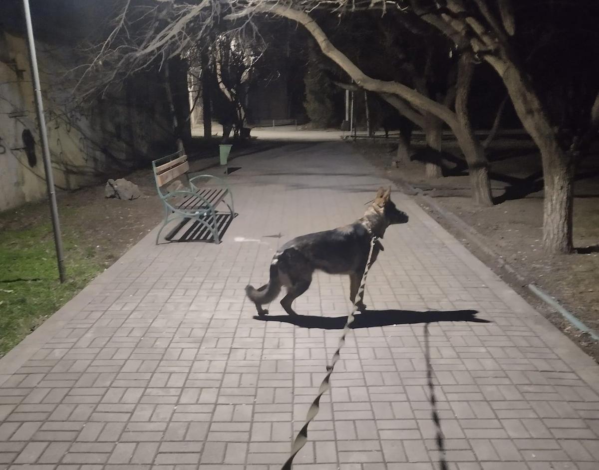 Фото: из личного архива