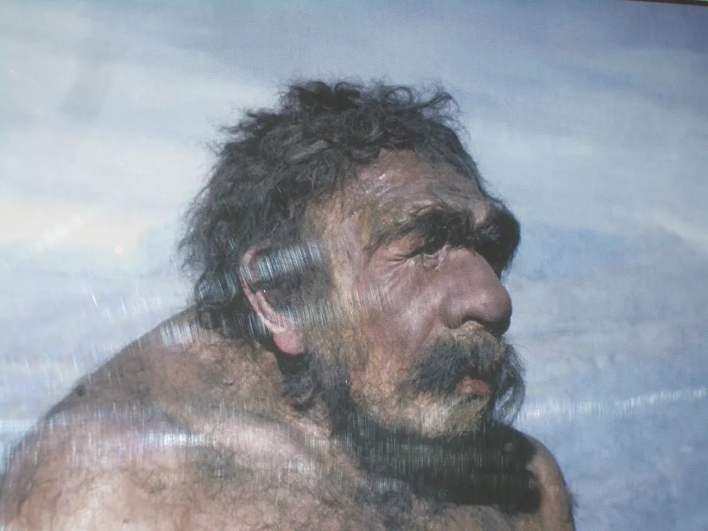 Неандерталец. Фото: Чикагский музей