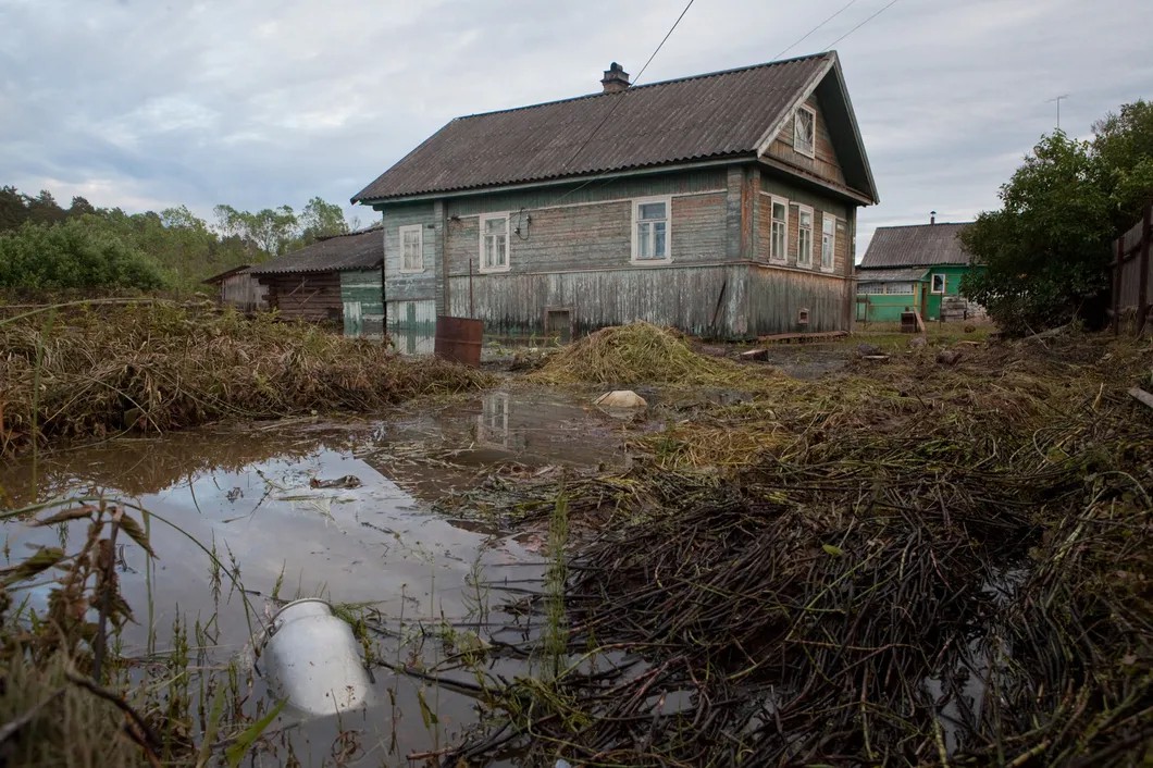 Затопленный дом в поселке Любытино. Фото: Елена Лукьянова / «Новая газета в Петербурге»