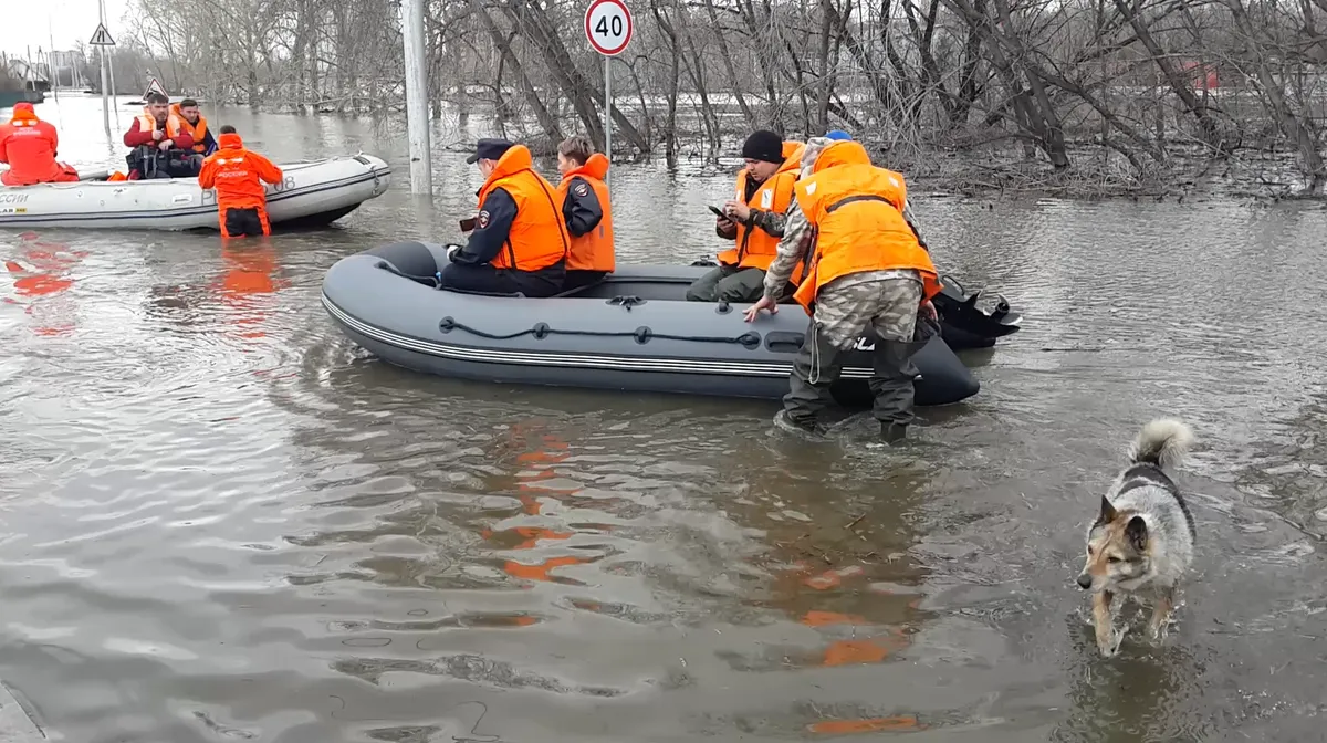 Прогулка по серой зоне. Наводнение в Кургане идет на убыль, город готовится  к пожарам. Репортаж с правого берега Тобола, из-за полицейского оцепления —  Новая газета