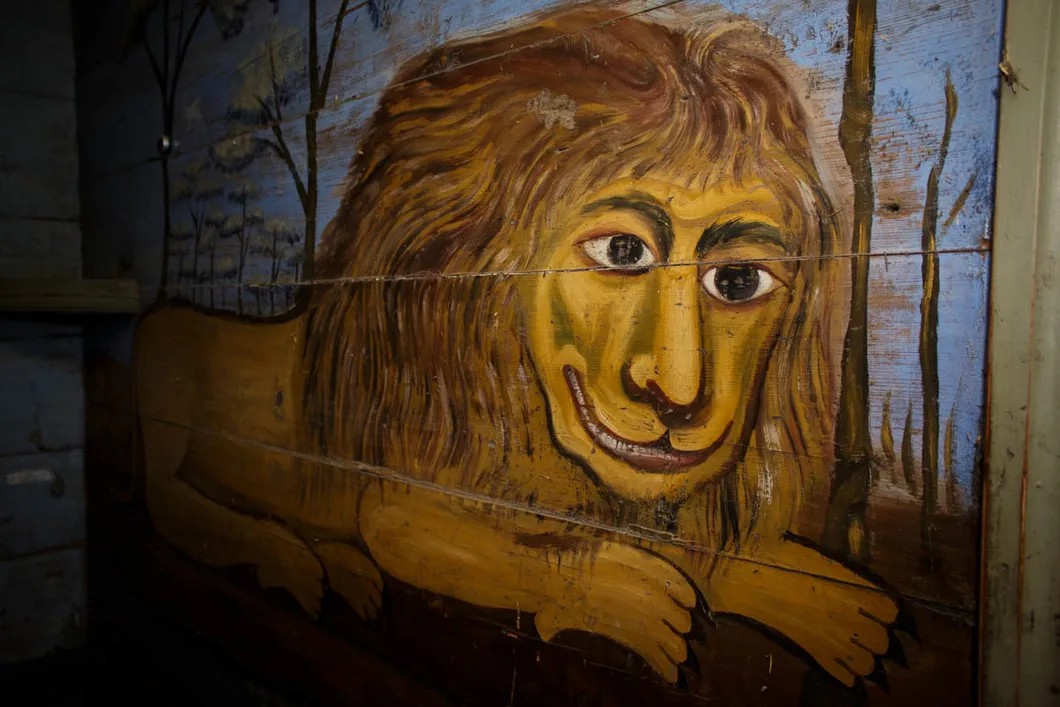 Улыбающийся лев с человеческими глазами. Фото: Матвей Фляжников / специально для «Новой»