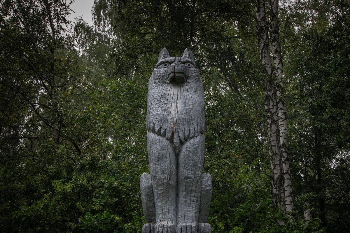 Памятник волку в Тамбовской области. Фото: Алексей Душутин / «Новая газета»