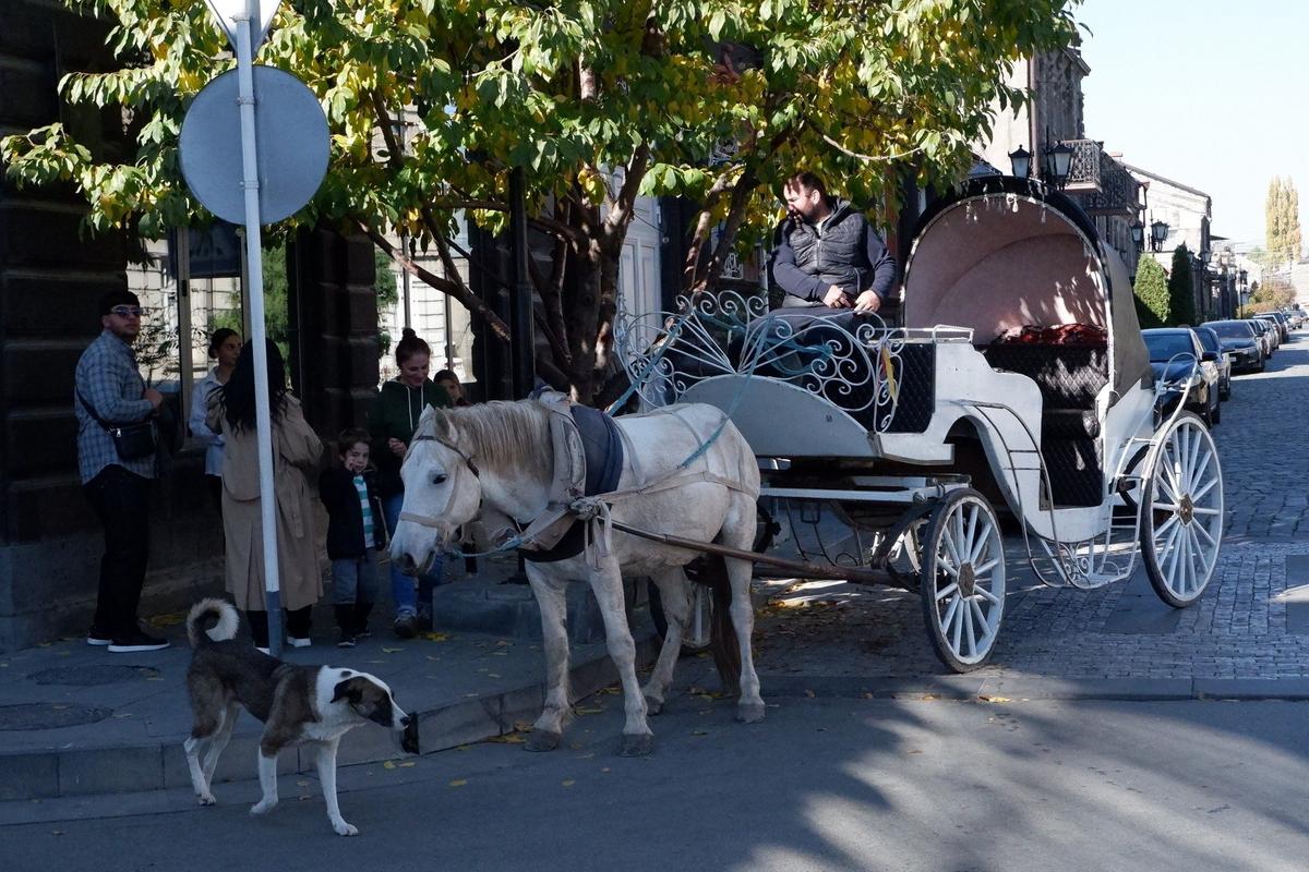 Фото: Андрей Новашов