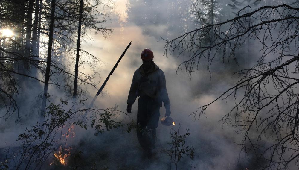 Очаги лесных пожаров, Якутия. Фото: РИА Новости