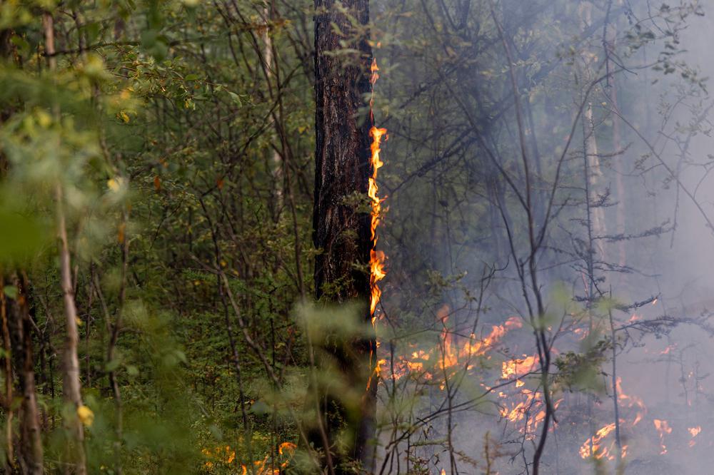 Низовой пожар в Усть-Майском районе. Фото: Арден Аркман / «Новая газета»