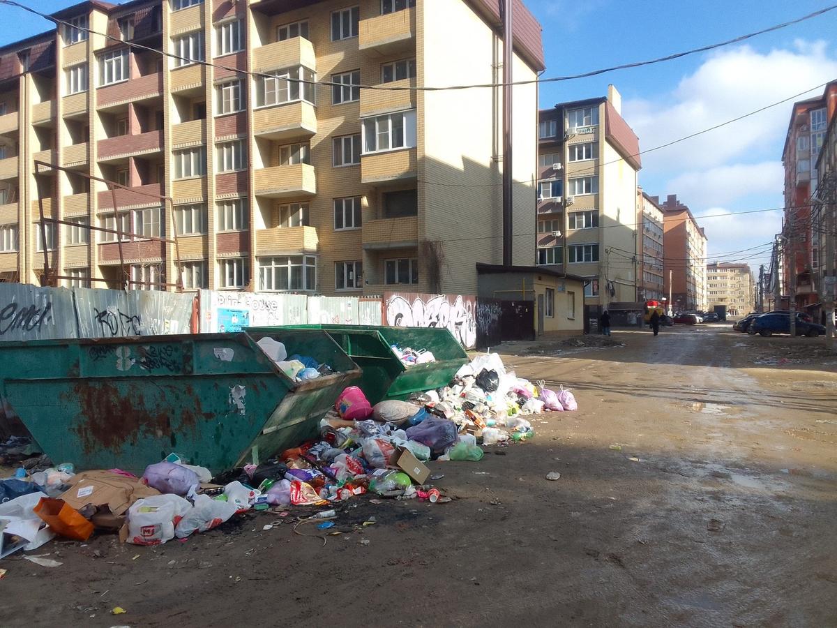 Краснодар. Фото: Алекандр Романов